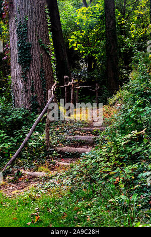 Autunno schizzi del vecchio parco,Philadelphia, Pennsylvania, STATI UNITI D'AMERICA Foto Stock