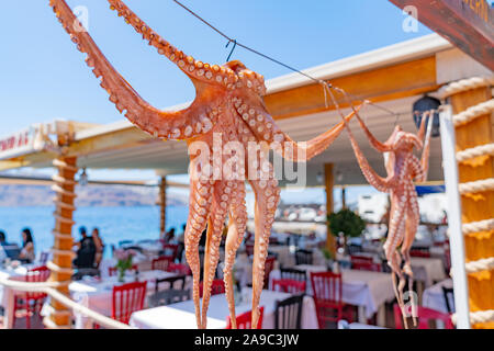 Il polpo appeso il fuoco selettivo fuori del ristorante sul mare, la baia di Ammoudi su Santorini Foto Stock