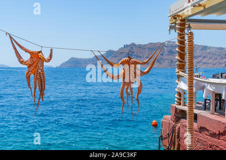 Il polpo appeso fuori del ristorante sul mare, la baia di Ammoudi su Santorini Foto Stock