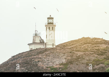 Lo storico faro sull isola di Anacapa, Channel Island National Park, California, Stati Uniti d'America Foto Stock