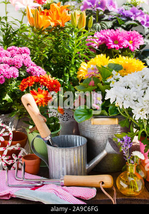 Varietà di fiori e vasi con decorazioni in giardino Foto Stock