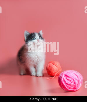 Piccolo gattino con multi-palle colorate di fili di lana su un sfondo rosa Foto Stock