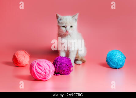 Piccolo gattino con multi-palle colorate di fili di lana su un sfondo rosa Foto Stock