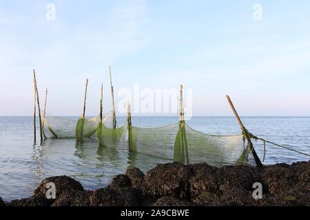 Green le reti da pesca in mare di Wadden vicino all'Afsluitdijk nei Paesi Bassi Foto Stock