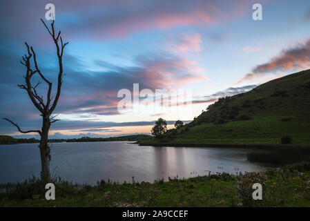 scena malinconica, albero morto in silhouette contro un cielo colorato tramonto, cielo riflesso sulla superficie del lago, lunga esposizione Foto Stock