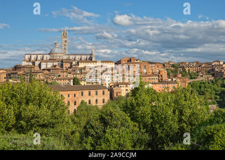 Il Duomo di Santa Maria Assunta (Cattedrale di Siena) è situato sul punto più alto della collina della città di Siena, Toscana, Italia Foto Stock