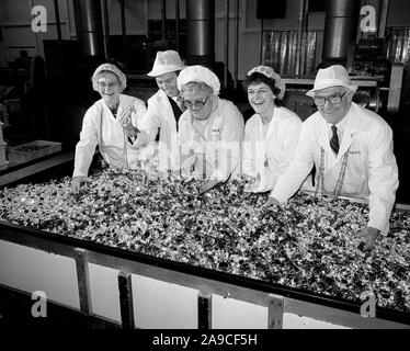 Cravens Candyland azienda dolciaria in York, Gran Bretagna, Uk 1985 - dignitari civico di controllo della produzione nella fabbrica. LtoR Sindaco signora Dorothy Cooper, sceriffo Ken King, Mavis Hardcastle della caramella mou association, sceriffo lady Hilary re e signore sindaco Ken Cooper Foto Stock