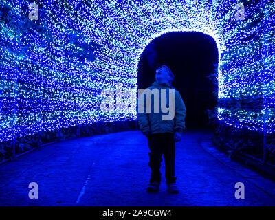 Zoo di Edimburgo, Scozia, Regno Unito, 14 novembre 2019. Lanterne giganti allo zoo di Edimburgo. Nella foto: Jamie carter, 8 anni, ammira il tunnel leggero Foto Stock