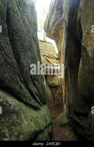 I canali Area Naturale di preservare in Virginia, Stati Uniti d'America Foto Stock