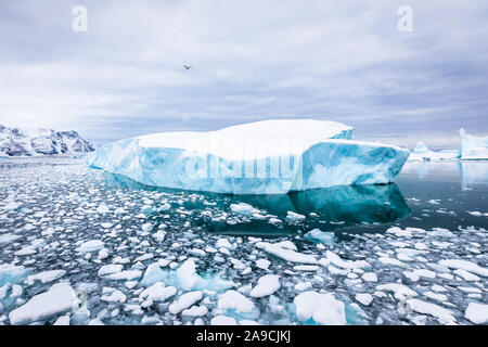 Iceberg con blue ice e coperto di neve in Antartide, scenic congelati paesaggio nella Penisola Antartica Foto Stock