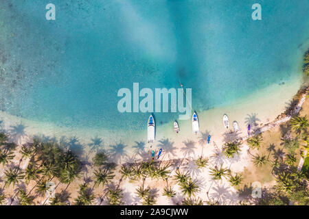 Tropical Beach la fotografia aerea con palme di cocco lungo la costa e blu trasparente di acqua di mare con barriera corallina, paradiso vacanze vacanze d Foto Stock