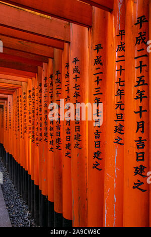 Iconico mille torii di Fushimi-inari Taisha, Kyoto, Giappone Foto Stock