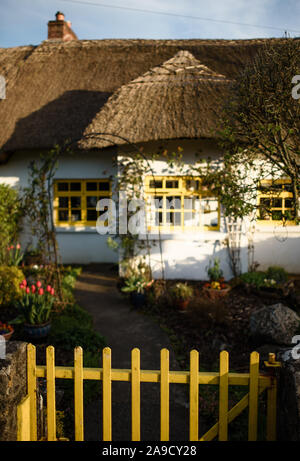 Particolare architettura a Adare, Irlanda Foto Stock