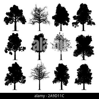 Alberi di quercia sagome isolati su sfondo bianco. Raccolta di 12 alberi di quercia. Foto Stock