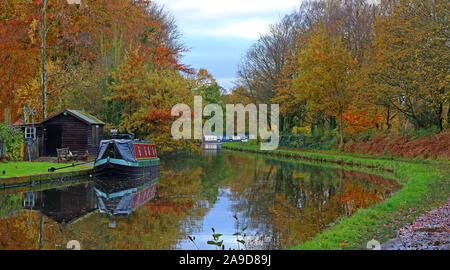 Bridgewater Canal, dal Ponte Pickerings, Thelwall, autunno, Sud Warrington, Cheshire, North West England, Regno Unito, WA4 3JR Foto Stock