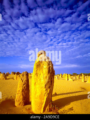 Monring nuvole nel Deserto Pinnacles, Nambung National Park, Australia occidentale, colonne di pietra calcarea vicino Oceano Indiano Foto Stock