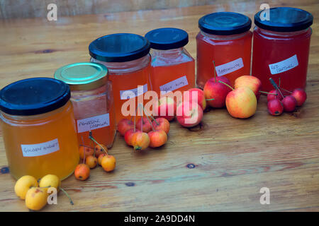 Crab Apple Jelly e frutti utilizzati per renderli - Malus 'Evereste' AGM, Malus 'Jelly King', Malus x zumi 'Professore Sprenger', Malus 'Dartmouth', ma Foto Stock