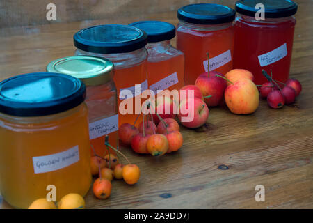 Crab Apple Jelly e frutti utilizzati per renderli - Malus 'Evereste' AGM, Malus 'Jelly King', Malus x zumi 'Professore Sprenger', Malus 'Dartmouth', ma Foto Stock