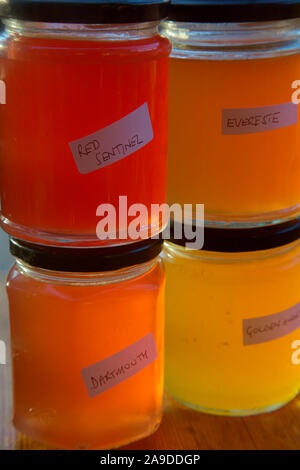 Home reso Crab Apple Jelly - Malus 'Evereste' AGM, Malus 'Dartmouth', Malus x zumi " Golden Hornet', Malus x robusta 'Red Sentinel' AGM Foto Stock