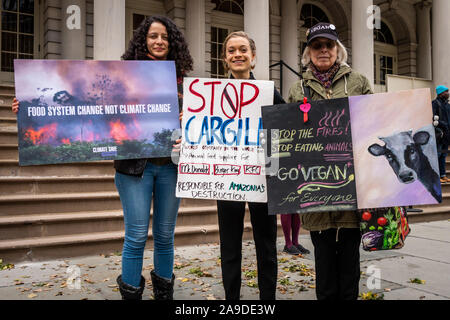 New York, Stati Uniti d'America. Xiv Nov, 2019. Gli attivisti ambientali al di fuori del Municipio dopo l' annuncio di una risoluzione che chiama per il divieto di rapporti commerciali con aziende legate alla Amazon di incendi in New York City il 14 novembre 2019. Un annuale del 5% maggiore domanda di carni bovine ha richiesto sud americana degli allevatori per masterizzare le andane della storica foresta pluviale, un asset nella lotta contro il cambiamento climatico, che sono andati fuori controllo. (Foto di Gabriele Holtermann-Gorden/Pacific Stampa) Credito: Pacific Press Agency/Alamy Live News Foto Stock