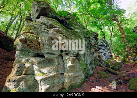 Rocce del diavolo la gola a Ernzen, Ferschweiler altopiano Eifel sud, Renania-Palatinato, Germania Foto Stock