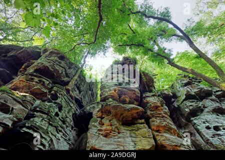 Rocce del diavolo la gola a Ernzen, Ferschweiler altopiano Eifel sud, Renania-Palatinato, Germania Foto Stock