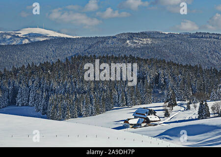 Paesaggio di Schauinsland in vista del vertice di Feldberg, vicino a Friburgo e Foresta Nera Meridionale, Baden-Wuerttemberg, Germania Foto Stock