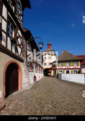 Burkheim in Breisgau, Foresta Nera Meridionale, Baden-Wuerttemberg, Germania Foto Stock