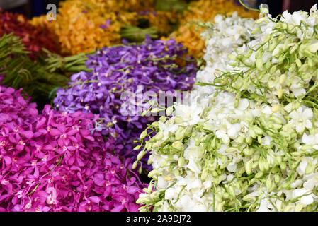 Orchidee in vendita presso il mercato , Chiang Mai Foto Stock