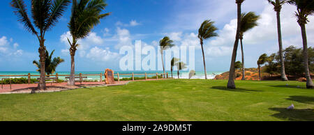 Tropical palme ondeggianti nel vento su una calda mattina di sole in estate stagione umida sull'area paesaggistica Cable Beach, Broome, Australia occidentale. Foto Stock