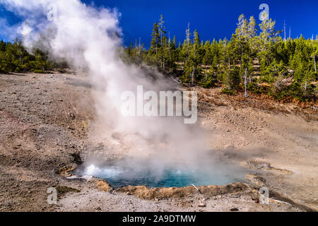 Stati Uniti d'America, Wyoming, il Parco Nazionale di Yellowstone, Norris, Gibbone River Valley, Beryl molla Foto Stock