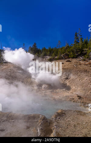 Stati Uniti d'America, Wyoming, il Parco Nazionale di Yellowstone, Norris, Gibbone River Valley, Beryl molla Foto Stock