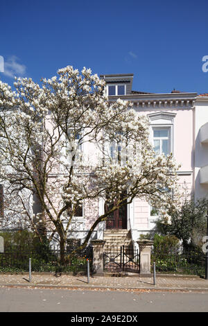 Vecchie case di Brema in Ostertorviertel, Brema, Germania, Europa Foto Stock