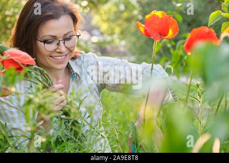 Donna di mezza età in natura fiori da taglio papaveri rossi Foto Stock