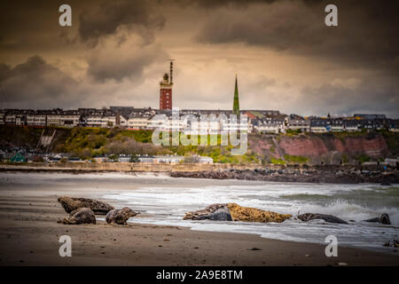 Germania, isola, mare del Nord, l'isola di Helgoland, dune, spiaggia, guarnizione grigio, faro Foto Stock
