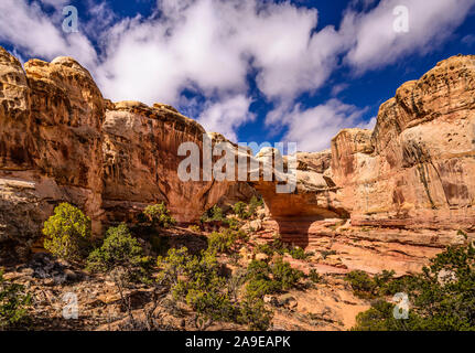 Gli Stati Uniti, Utah, Wayne County, Torrey, Capitol Reef parco nazionale, Hickman Bridge Foto Stock