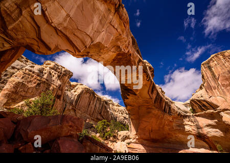 Gli Stati Uniti, Utah, Wayne County, Torrey, Capitol Reef parco nazionale, Hickman Bridge Foto Stock