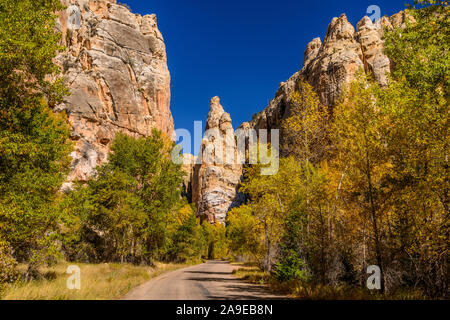 Gli Stati Uniti, Utah, Dagett county, Manila, Flaming Gorge, pecore Creek loop geologica, Torre rock Foto Stock