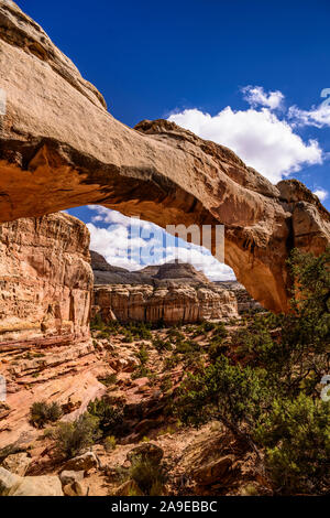 Gli Stati Uniti, Utah, Wayne County, Torrey, Capitol Reef parco nazionale, Hickman ponte contro Capitol cattedrali Foto Stock