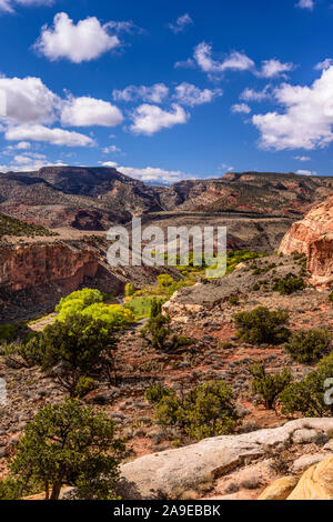 Gli Stati Uniti, Utah, Wayne County, Torrey, Capitol Reef parco nazionale, Fremont River Valley, vista in Hickman Bridge Trail Foto Stock