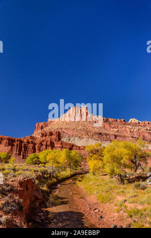 Gli Stati Uniti, Utah, Wayne County, Torrey, Capitol Reef parco nazionale, zolfo Creek Valley, fruita, il castello vicino centro visitatori Foto Stock