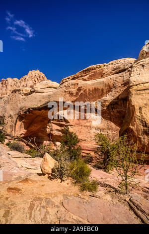 Gli Stati Uniti, Utah, Wayne County, Torrey, Capitol Reef parco nazionale, Hickman Bridge Foto Stock