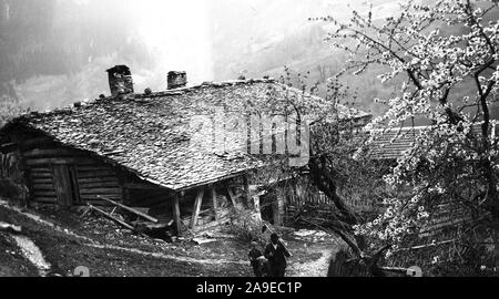 Un vile hous e tre di ciliegio in fiore ca. 1920 Foto Stock