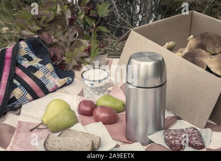 La prima colazione nel bosco durante la raccolta di funghi. Foto Stock