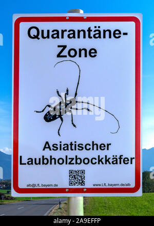 Segno, zona di quarantena, asiatici a lungo cornuto beetle, Anoplophora glabripennis, Murnau, Alta Baviera, Baviera, Germania, Europa Foto Stock