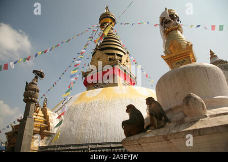 Swayambhunath Temple (noto anche come il tempio delle scimmie) Kathmandu, Nepal. Foto Stock