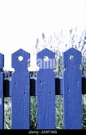 La lavanda e la recinzione Foto Stock