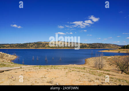 Il paesaggio del lago essiccato e alberi sulla siccità con cielo blu, il riscaldamento globale, problemi di ambiente Nozione Foto Stock
