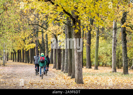 Leipzig, Germania. Xv Nov, 2019. I ciclisti corsa attraverso il Johanna Park a Lipsia, nel centro della città, che è colorata in autunno. Credito: Jan Woitas/dpa-Zentralbild/dpa/Alamy Live News Foto Stock