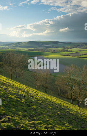 La luce solare che colpisce la colline sopra Firle nel South Downs National Park. Firle, East Sussex, Inghilterra Foto Stock